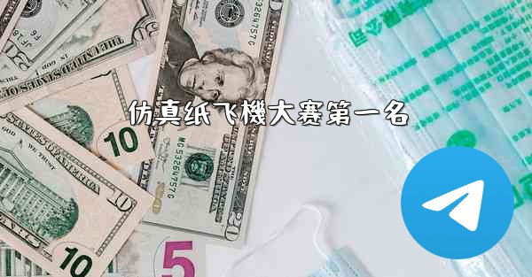 仿真纸飞機大赛第一名