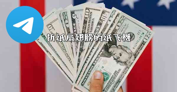 折纸扇翅膀的纸飞機