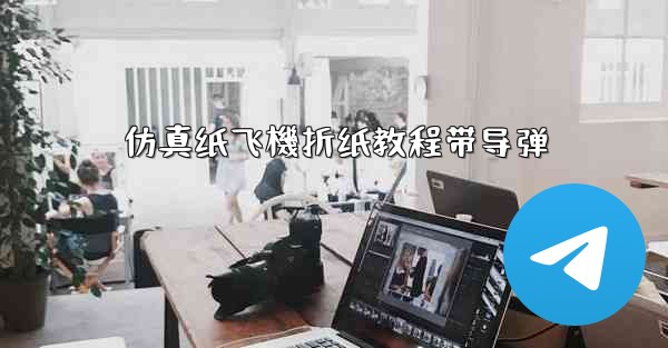 <b>仿真纸飞機折纸教程带导弹</b>