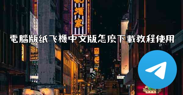 電腦版纸飞機中文版怎麼下載教程使用