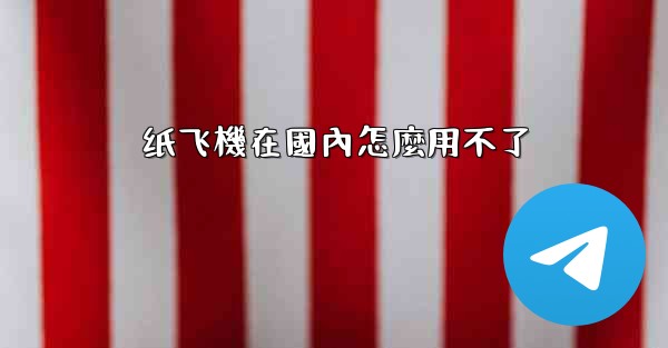 纸飞機在國內怎麼用不了