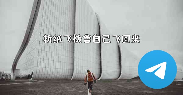 <b>折纸飞機會自己飞回來</b>