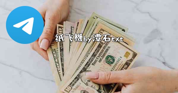 纸飞機by潭石txt