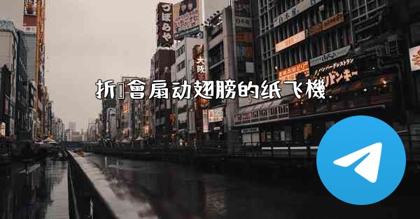 折叠會扇动翅膀的纸飞機