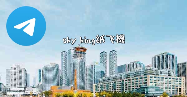 sky king纸飞機