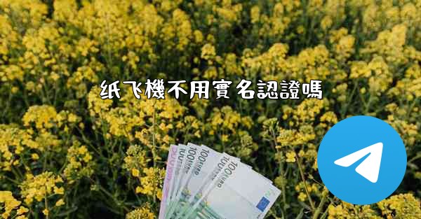 <b>纸飞機不用實名認證嗎</b>