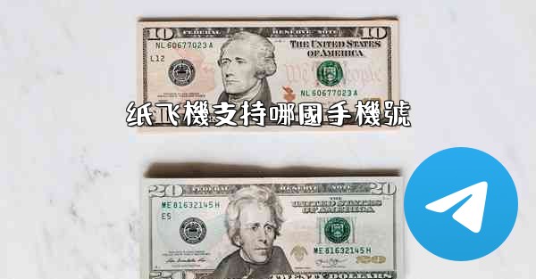 纸飞機支持哪國手機號