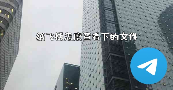 纸飞機怎麼查看下的文件