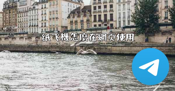 纸飞機怎麼在網页使用