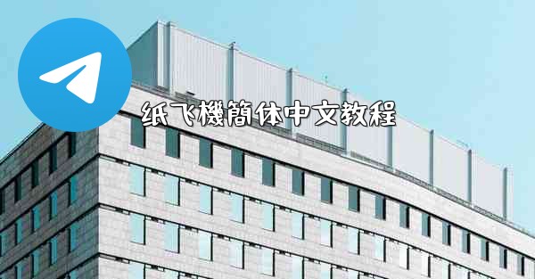 纸飞機簡体中文教程