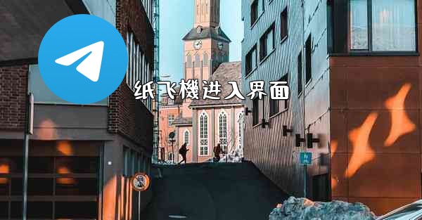 纸飞機进入界面