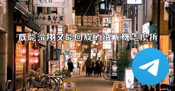 既能滑翔又能回旋的纸飞機怎麼折