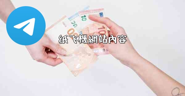 纸飞機網站內容
