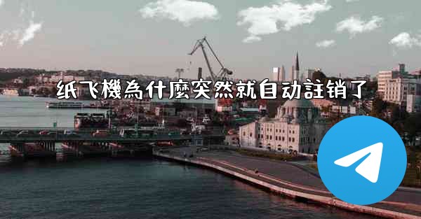 纸飞機為什麼突然就自动註销了