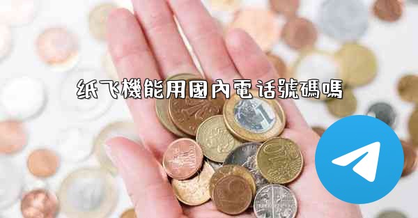 纸飞機能用國內電话號碼嗎
