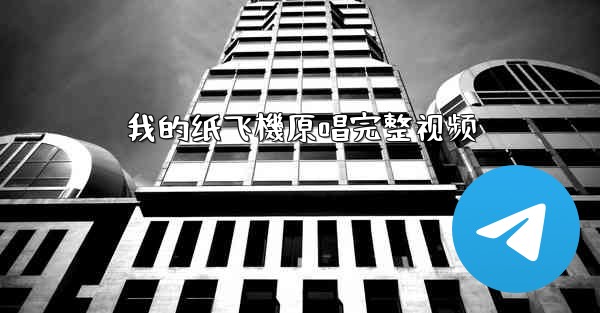 我的纸飞機原唱完整视频