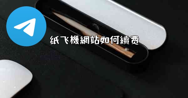 纸飞機網站如何續费