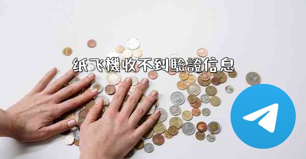 纸飞機收不到驗證信息