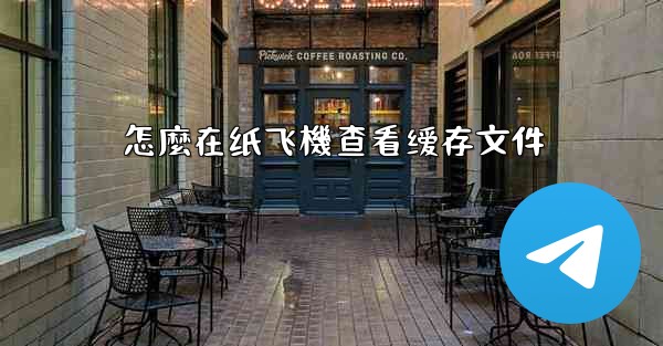 怎麼在纸飞機查看缓存文件