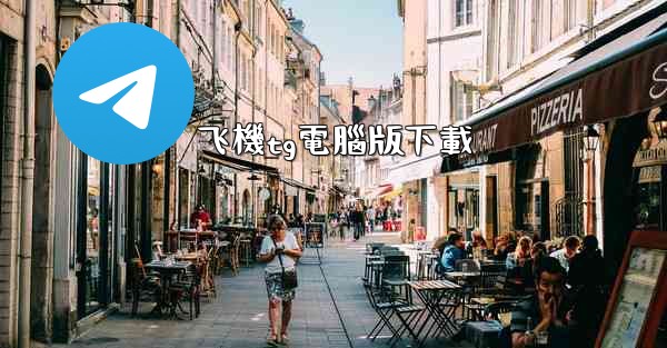 飞機tg電腦版下載