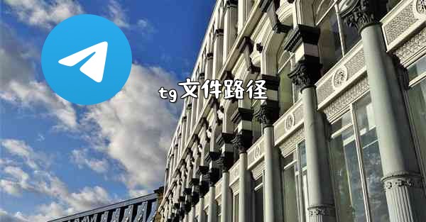 tg文件路径