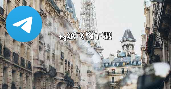 tg纸飞機下載