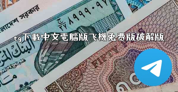 tg下載中文電腦版飞機免费版破解版