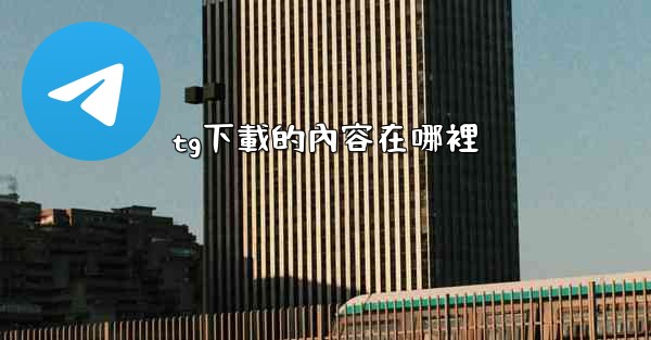 tg下載的內容在哪裡