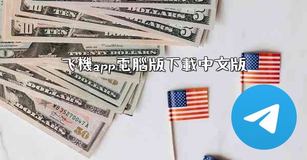 飞機app電腦版下載中文版