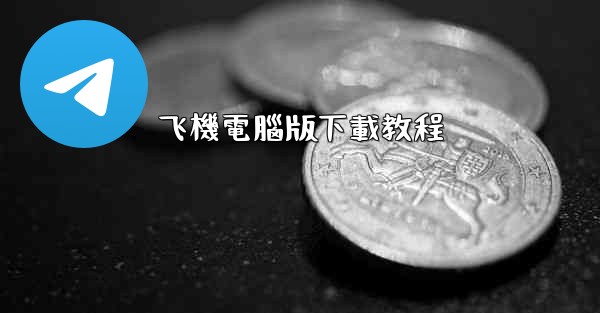 飞機電腦版下載教程