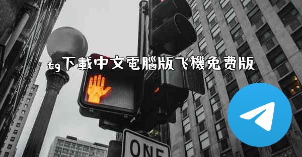 tg下載中文電腦版飞機免费版