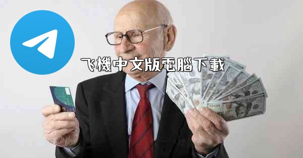 飞機中文版電腦下載