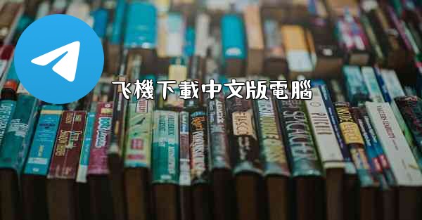 飞機下載中文版電腦