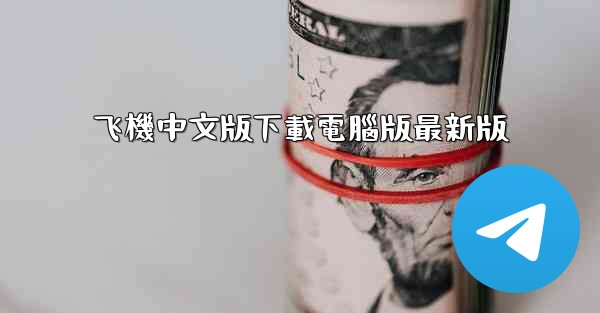 飞機中文版下載電腦版最新版