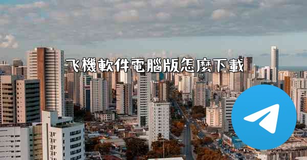 飞機軟件電腦版怎麼下載