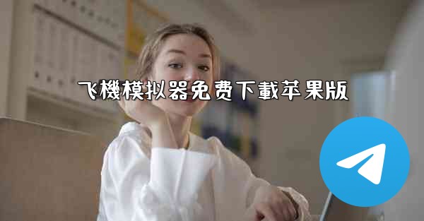 飞機模拟器免费下載苹果版