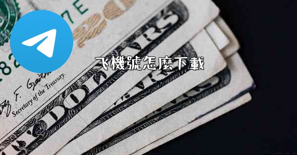 <b>飞機號怎麼下載</b>
