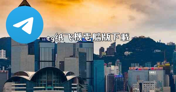 tg纸飞機電腦版下載