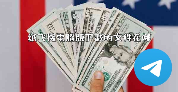 纸飞機電腦版下載的文件在哪