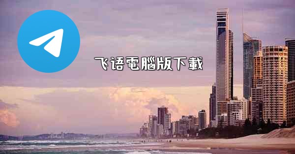 飞语電腦版下載