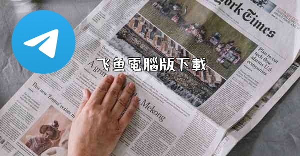 飞鱼電腦版下載