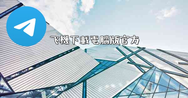 飞機下載電腦版官方