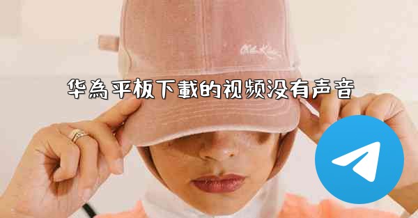 华為平板下載的视频没有声音