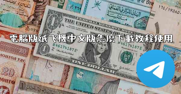 電腦版纸飞機中文版怎麼下載教程使用