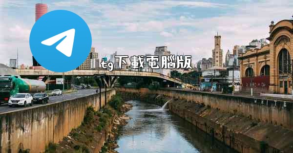 tg下載電腦版
