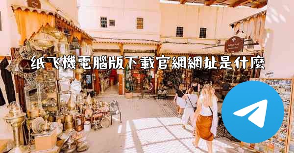 纸飞機電腦版下載官網網址是什麼