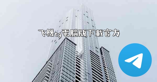 飞機tg電腦版下載官方