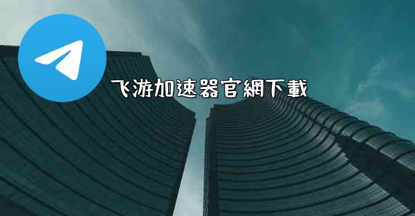 飞游加速器官網下載