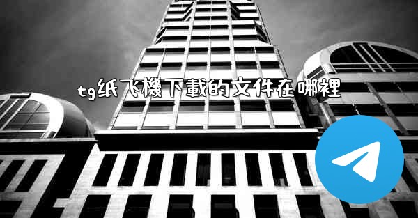 tg纸飞機下載的文件在哪裡