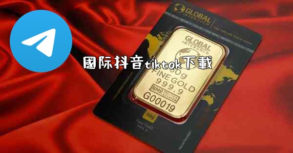 國际抖音tiktok下載